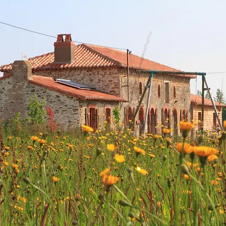 Bed & Breakfast D'hotes Le Chateau Rouge Saint-Germain-sur-Moine