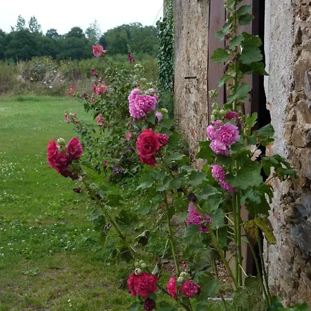 D'hotes Le Chateau Rouge Saint-Germain-sur-Moine