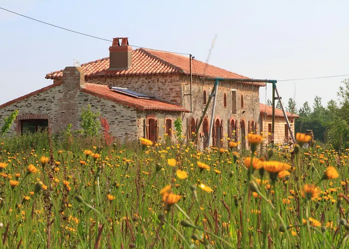 Bed & Breakfast D'hotes Le Chateau Rouge Saint-Germain-sur-Moine