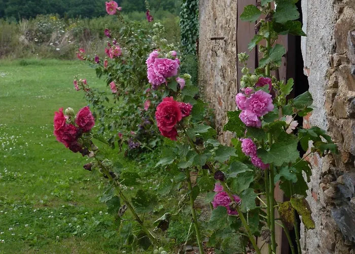 D'hotes Le Chateau Rouge Saint-Germain-sur-Moine