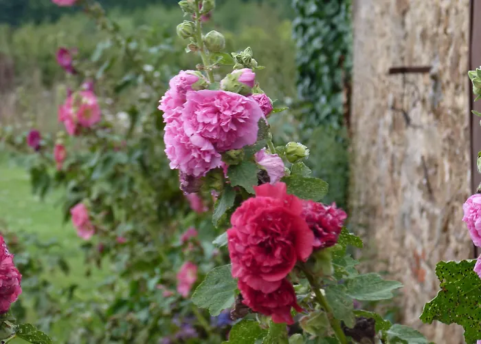D'hotes Le Chateau Rouge Saint-Germain-sur-Moine